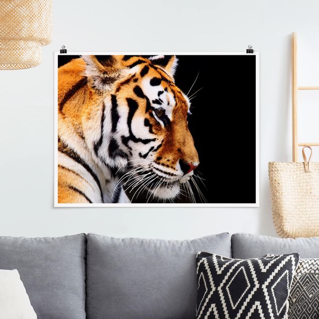 Riesenposter XXL Tiger Schönheit
