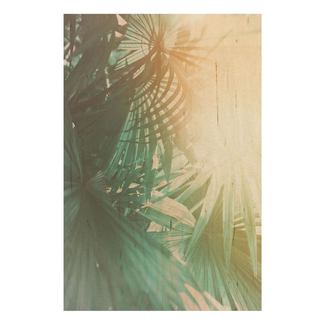 Holzbilder Natur Tropische Pflanzen Palmen bei Sonnenuntergang