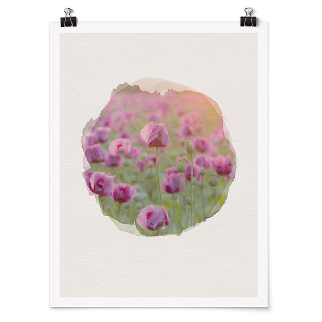 Moderne Poster Wasserfarben - Violette Schlafmohn Blumenwiese im Frühling
