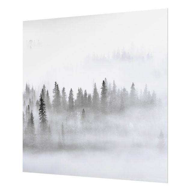 Spritzschutz Glas - Nebel im Tannenwald Schwarz-Weiß - Quadrat 1:1