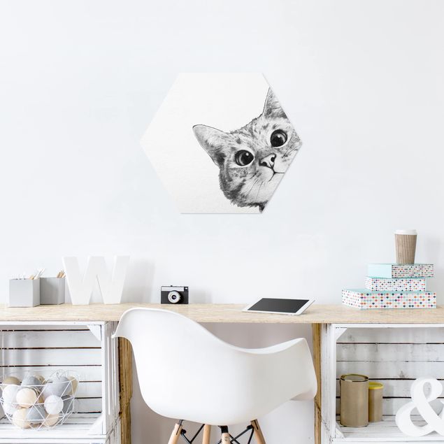 Hexagon Bilder Illustration Katze Zeichnung Schwarz Weiß