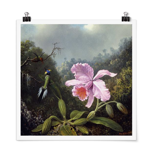 schöne Bilder Martin Johnson Heade - Stillleben mit Orchidee und zwei Kolibris