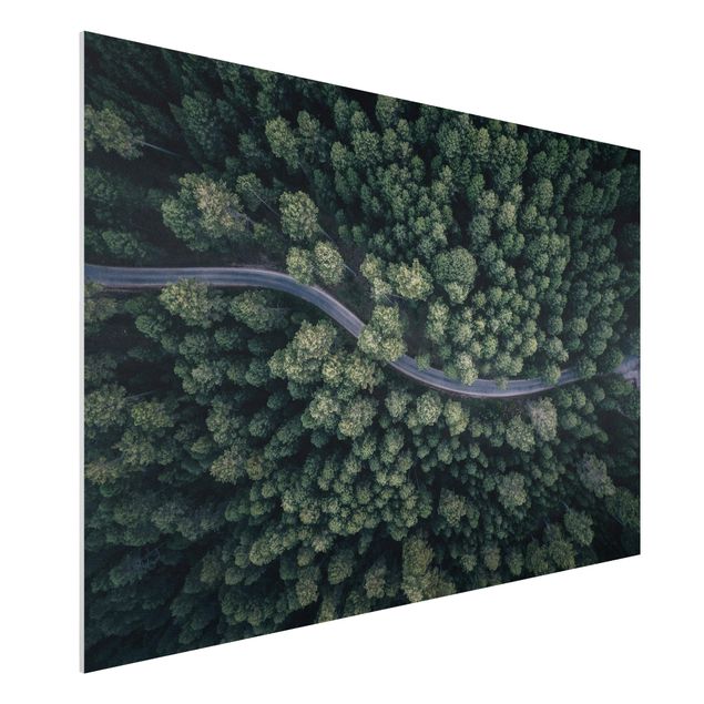 Bilder Luftbild - Waldstraße von Oben
