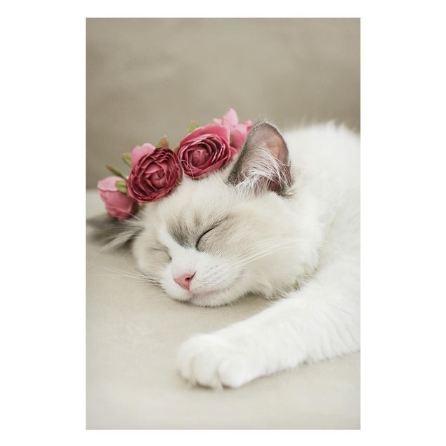 Magnettafel - Schlafende Katze mit Rosen - Hochformat 2:3