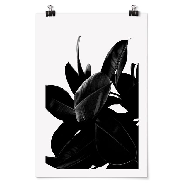 Kubistika Poster Gummibaum Blätter Schwarz Weiß