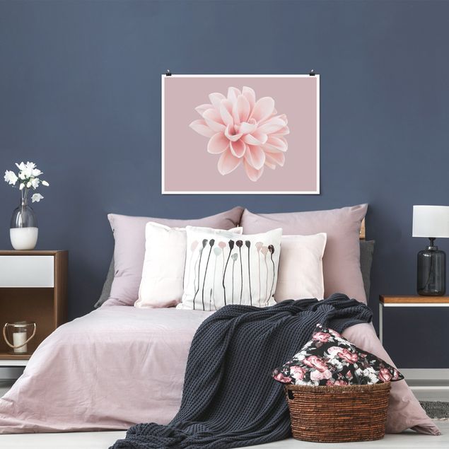 Moderne Poster Dahlie Blume Lavendel Rosa Weiß