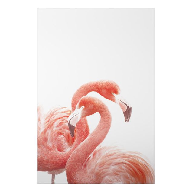 Alu-Dibond - Zwei Flamingos - Querformat