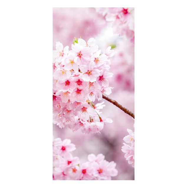 Magnettafel - Japanische Kirschblüten - Panorama Hochformat