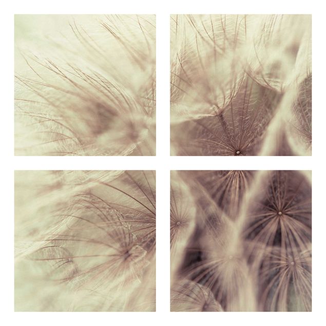 Leinwandbild 4-teilig - Detailreiche Pusteblumen Makroaufnahme mit Vintage Blur Effekt