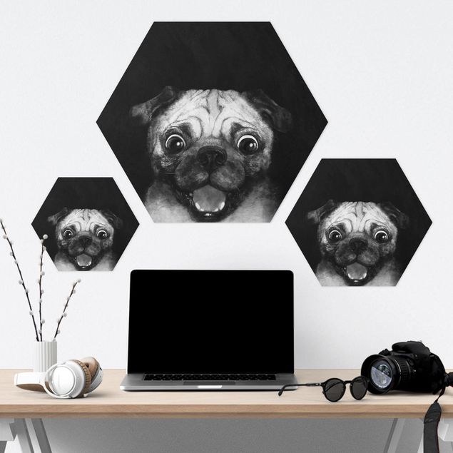 Hexagon Bild Forex - Illustration Hund Mops Malerei auf Schwarz Weiß