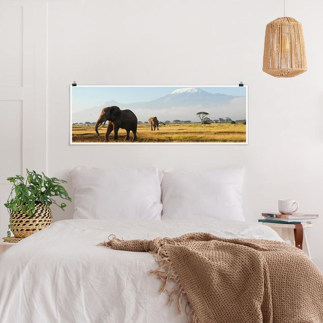 XXL Poster Elefanten vor dem Kilimanjaro in Kenya