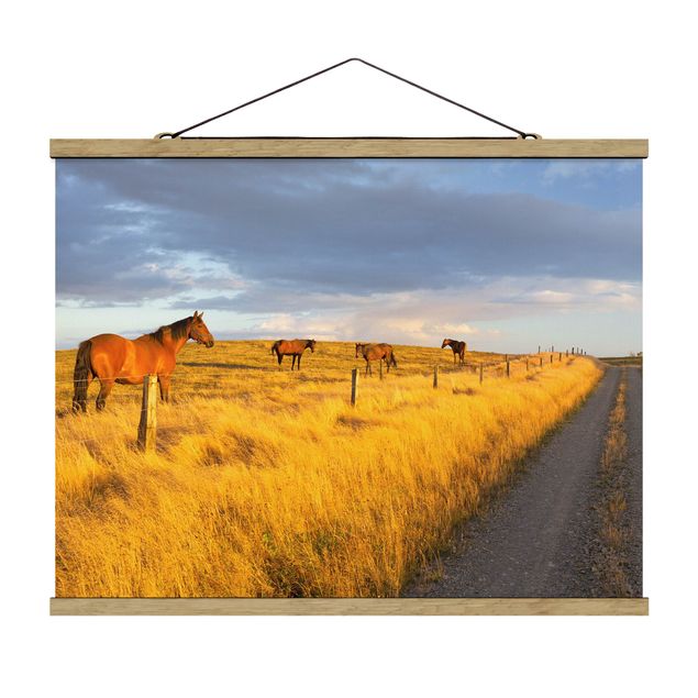 Stoffbild mit Posterleisten - Feldstraße und Pferde bei Abendsonne - Querformat 4:3