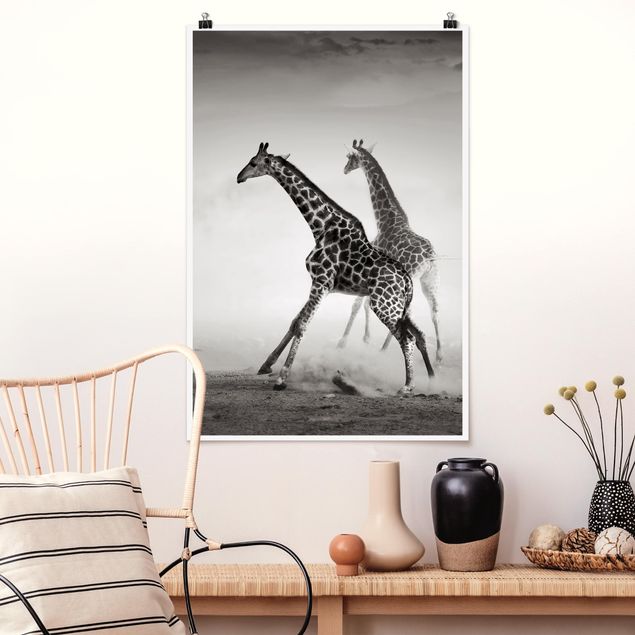 XXL Poster Giraffenjagd