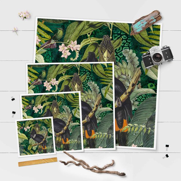 Poster - Bunte Collage - Kakadus im Dschungel - Quadrat 1:1
