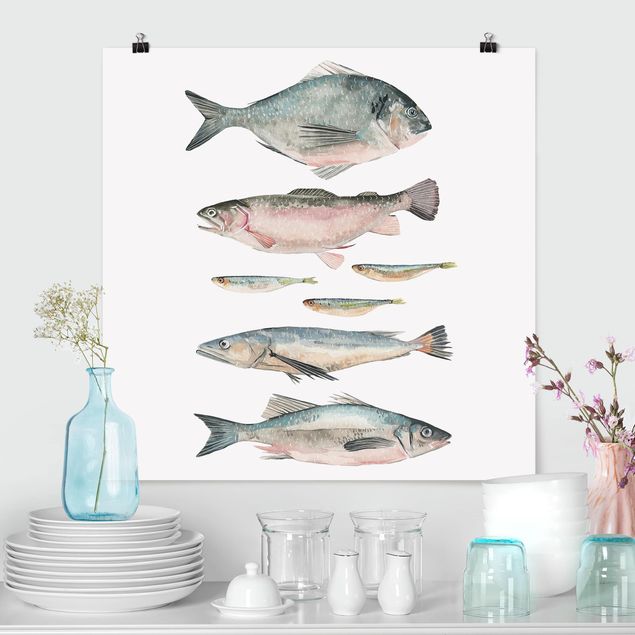 Poster - Sieben Fische in Aquarell II - Quadrat 1:1