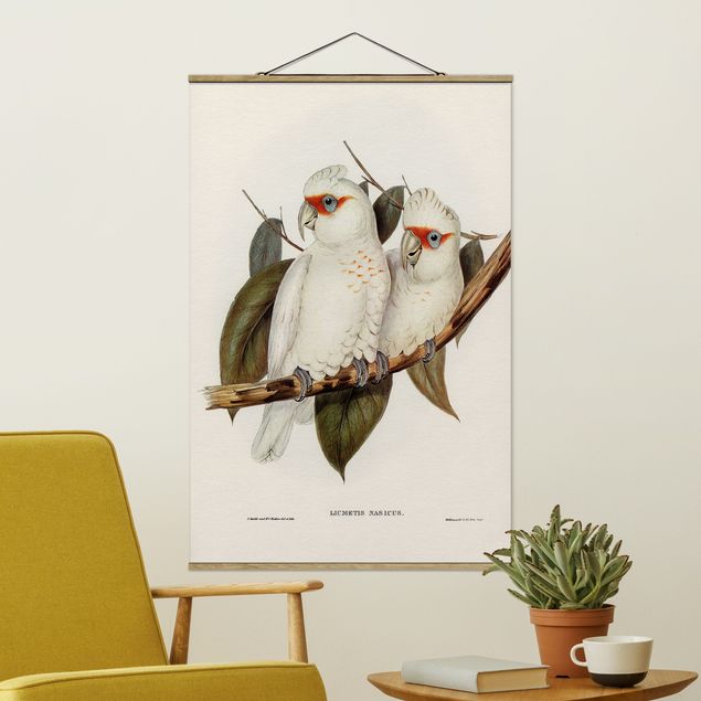 Wandbilder Vintage Illustration Weißer Kakadu