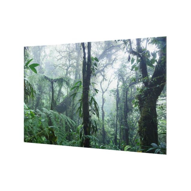 Spritzschutz - Monteverde Nebelwald - Querformat 3:2