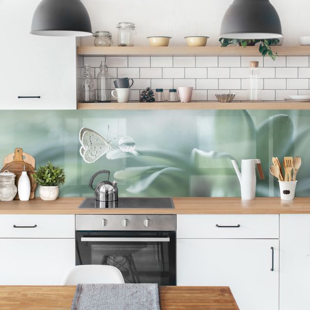 Küchenrückwand - Schmetterling und Tautropfen in Pastellgrün