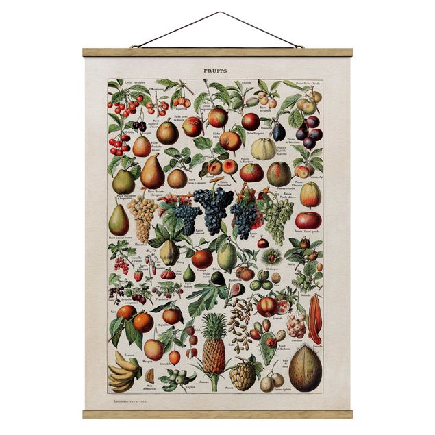 Stoffbild mit Posterleisten - Vintage Lehrtafel Früchte - Hochformat 3:4