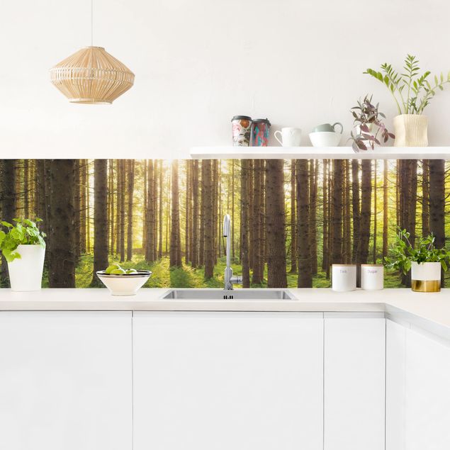 Küchenrückwand - Sonnenstrahlen in grünem Wald