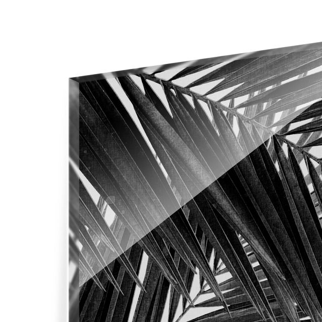 Spritzschutz Glas - Blick durch Palmenblätter schwarz weiß - Quadrat 1:1