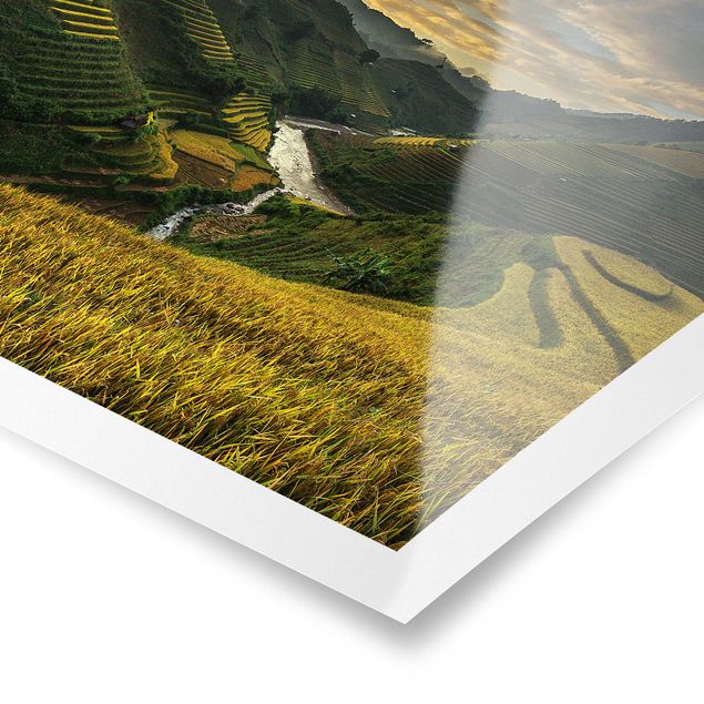 Bilder Reisplantagen in Vietnam