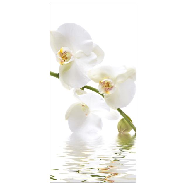 Raumteiler - White Orchid Waters 250x120cm
