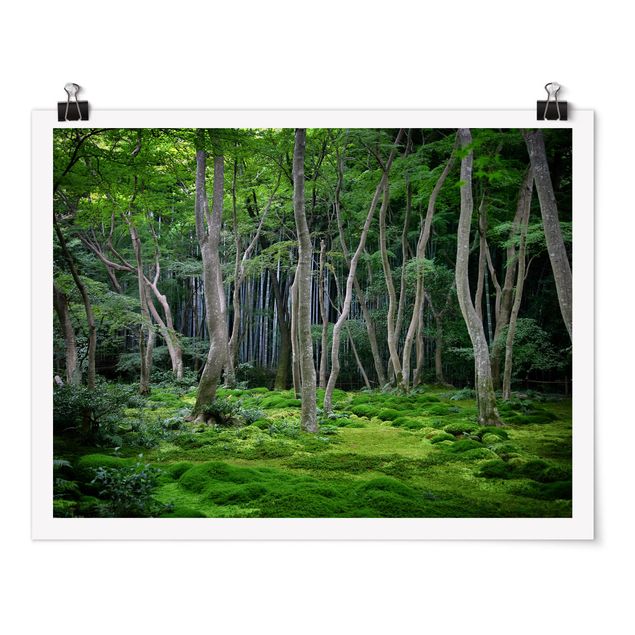Poster - Japanischer Wald - Querformat 3:4