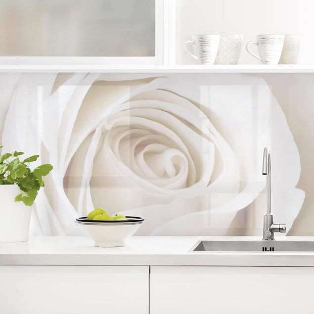 Platte Küchenrückwand Pretty White Rose
