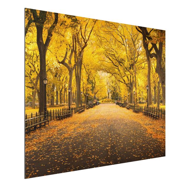 Alu-Dibond - Herbst im Central Park - Hochformat