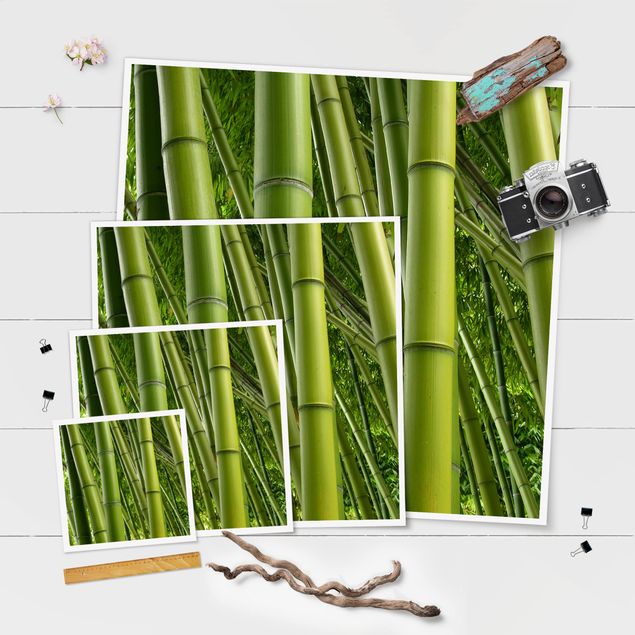 Poster - Bamboo Trees - Quadrat 1:1