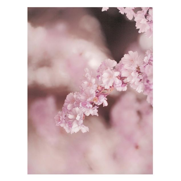 Magnettafel - Kirschblüte im Violetten Licht - Hochformat 3:4