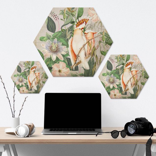Hexagon-Alu-Dibond Bild - Colonial Style Collage - Rosa Kakadu