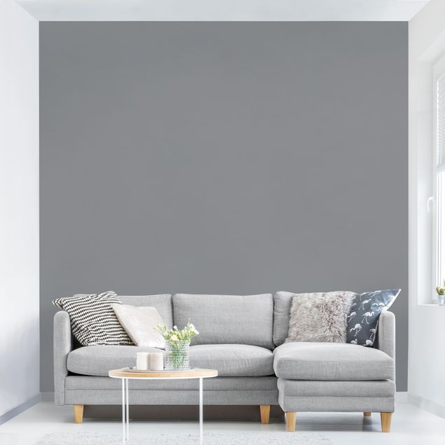 Fototapete - Colour Cool Grey