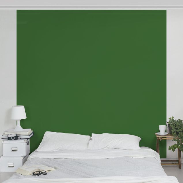 Fototapete - Colour Dark Green