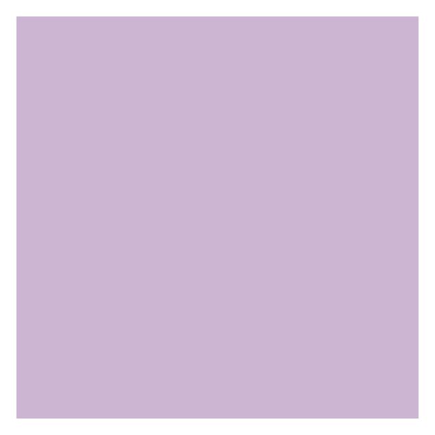 Fototapete - Colour Lavender