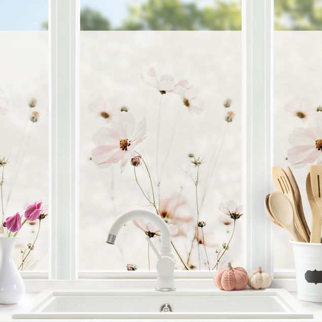 Blumen Fensterbild Cosmea in zarten Cremetönen