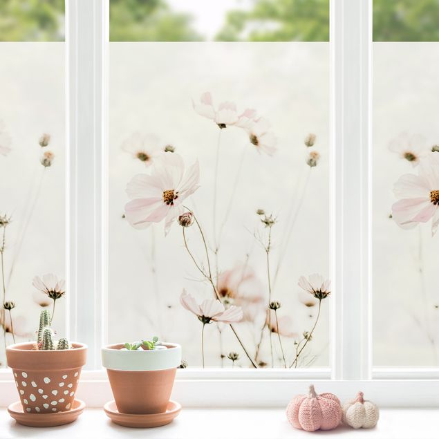 Fensterfolie Motiv Blumen Cosmea in zarten Cremetönen