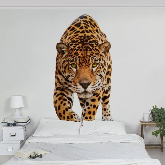 Tapete selbstklebend Creeping Jaguar