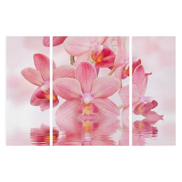 Leinwandbild 3-teilig - Rosa Orchideen auf Wasser - Triptychon