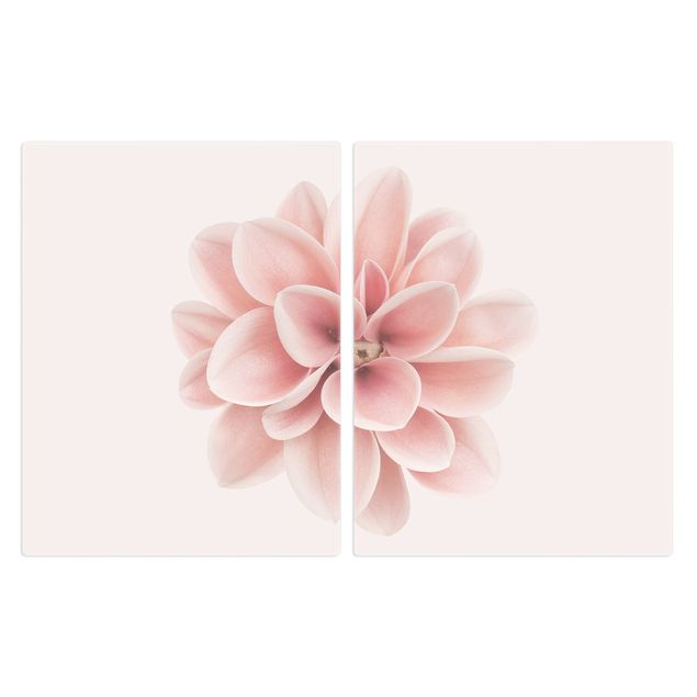 Herdabdeckplatte Glas - Dahlie Rosa Pastell Blume Zentriert - 52x80cm