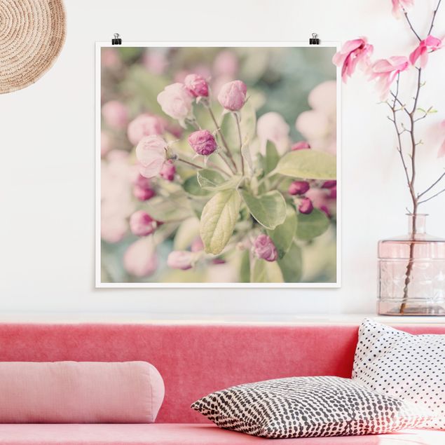 XXL Poster Apfelblüte Bokeh rosa