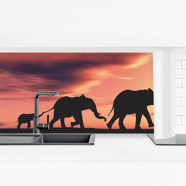 Küchenrückwand selbstklebend Savannah Elefant