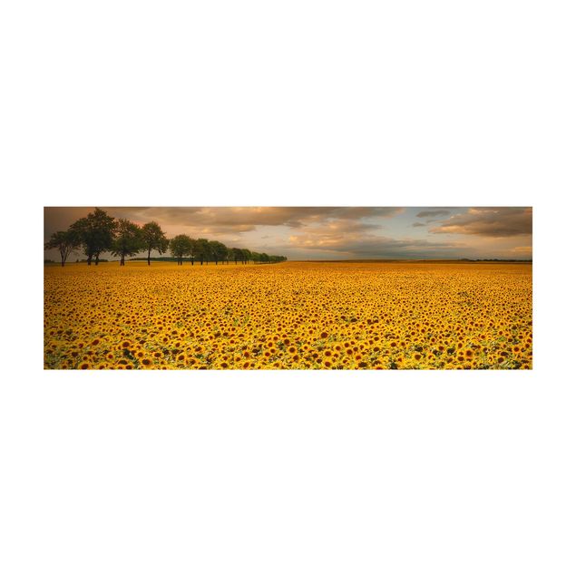 Vinyl-Teppich - Feld mit Sonnenblumen - Panorama Quer