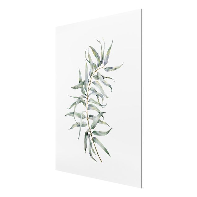 Alu-Dibond - Aquarell Eucalyptus IV - Querformat