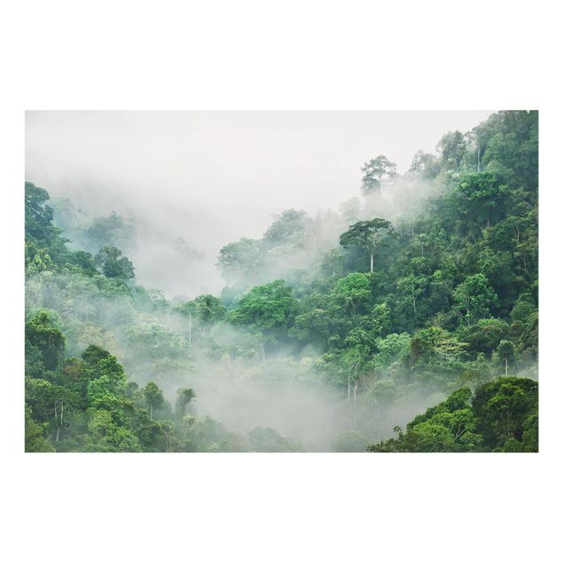 Spritzschutz Natur Dschungel im Nebel