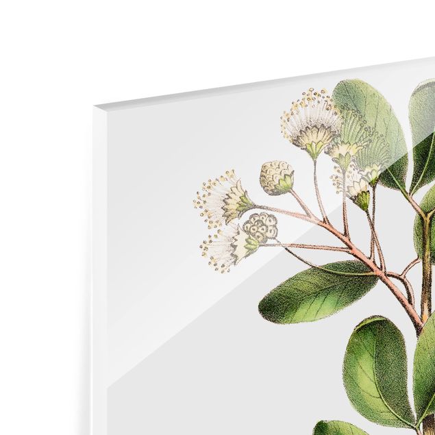 Glas Spritzschutz - Laubwerk mit Blüten III - Quadrat - 1:1