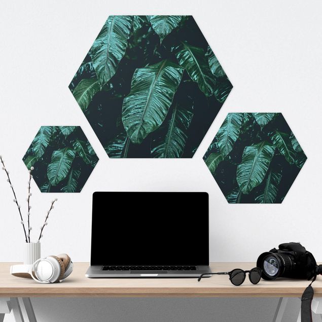 Hexagon Bild Forex - Tropische Pflanzen II
