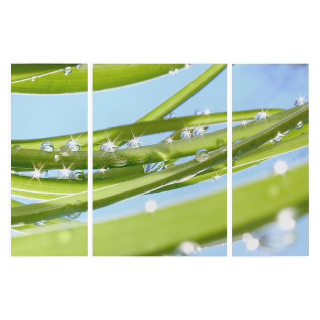Leinwandbild 3-teilig - Fresh Green - Triptychon
