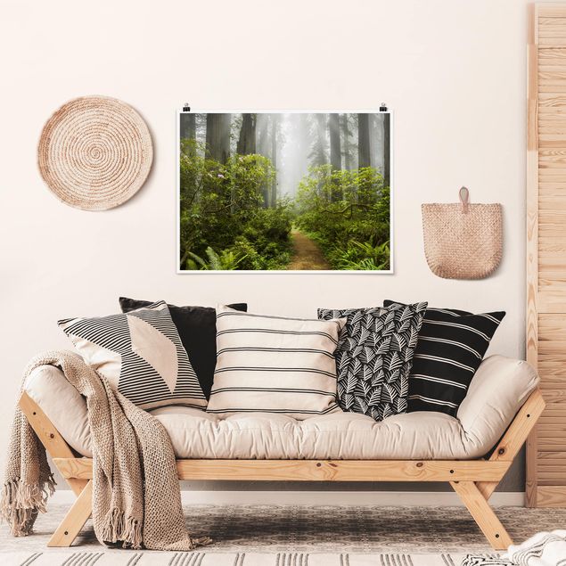 Landschaft Poster kaufen Nebliger Waldpfad